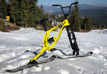 Load image into Gallery viewer, SKI BYK