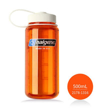 Load image into Gallery viewer, Nalgene 500ML